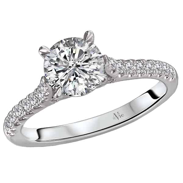 La Vie Cathedral Engagement Ring with Diamond Gallery